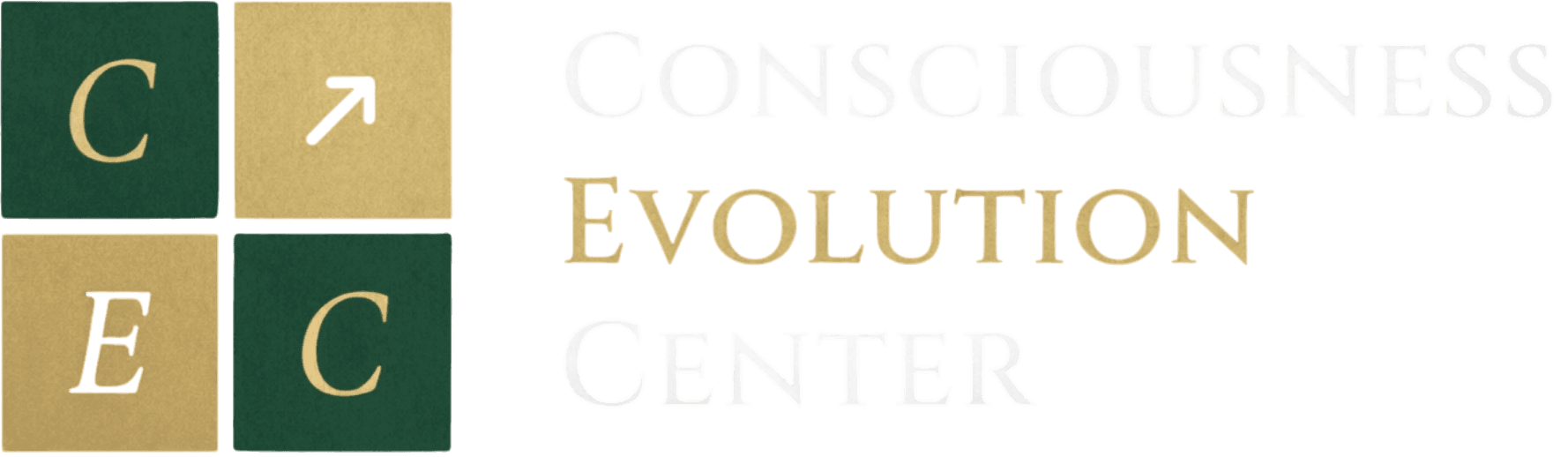Consciousness Evolution Center